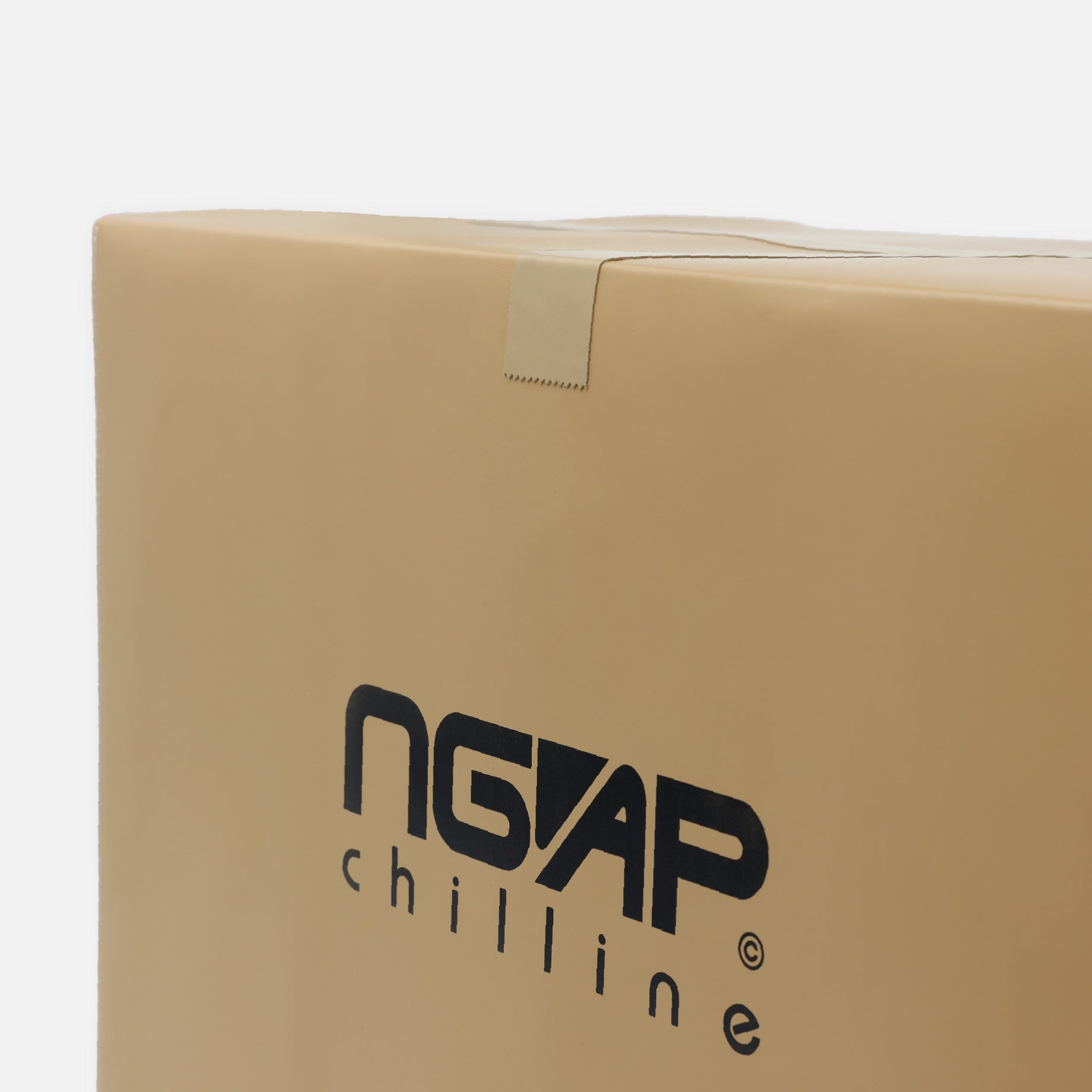 NGAP LEATHER CARDBOARD BOX CUSHION CHAIR(LARGE)