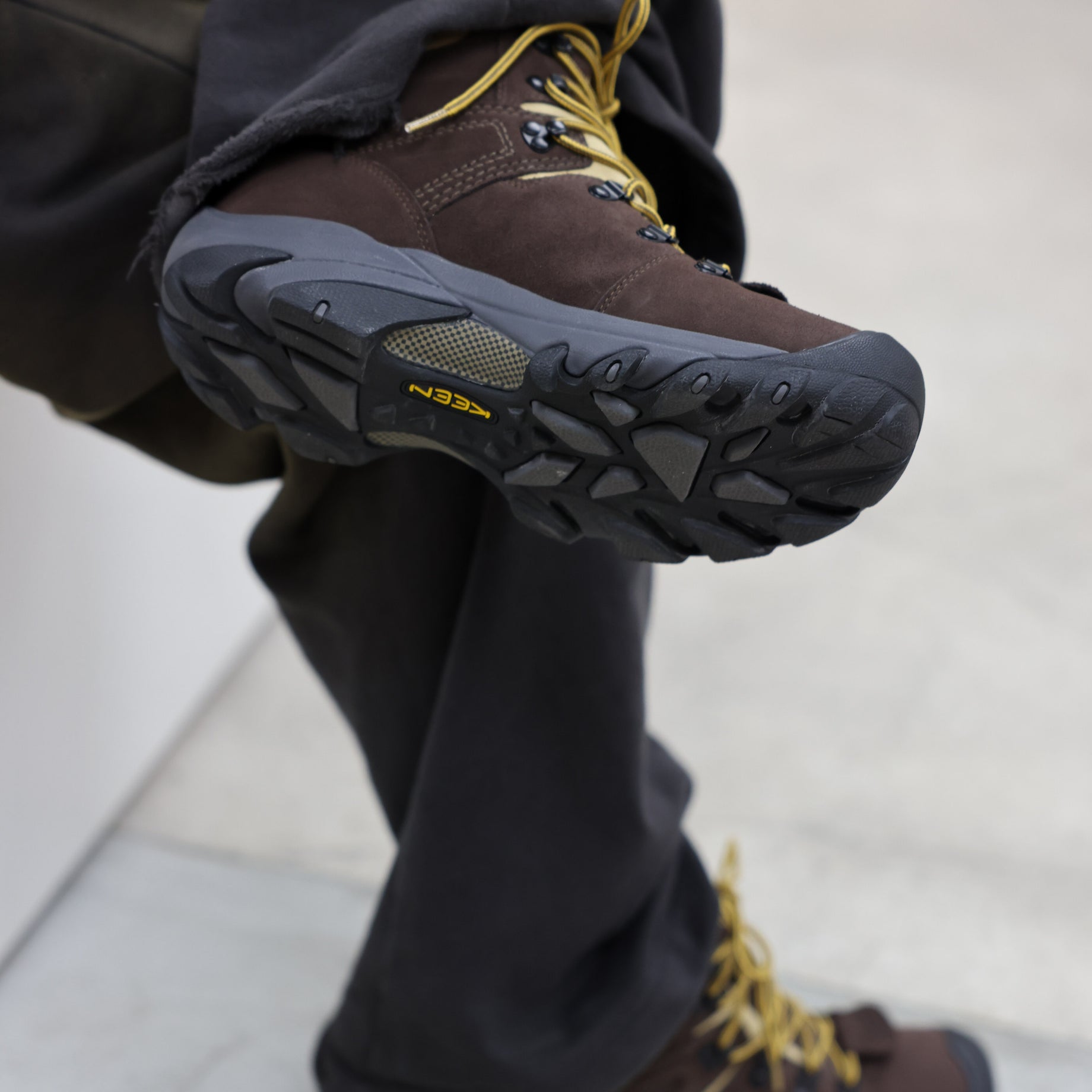 PYRENEERS（BROWN）