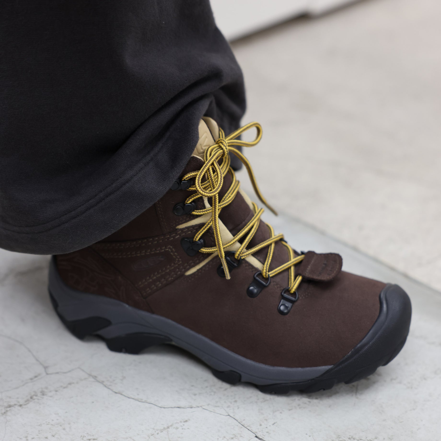 PYRENEERS（BROWN）