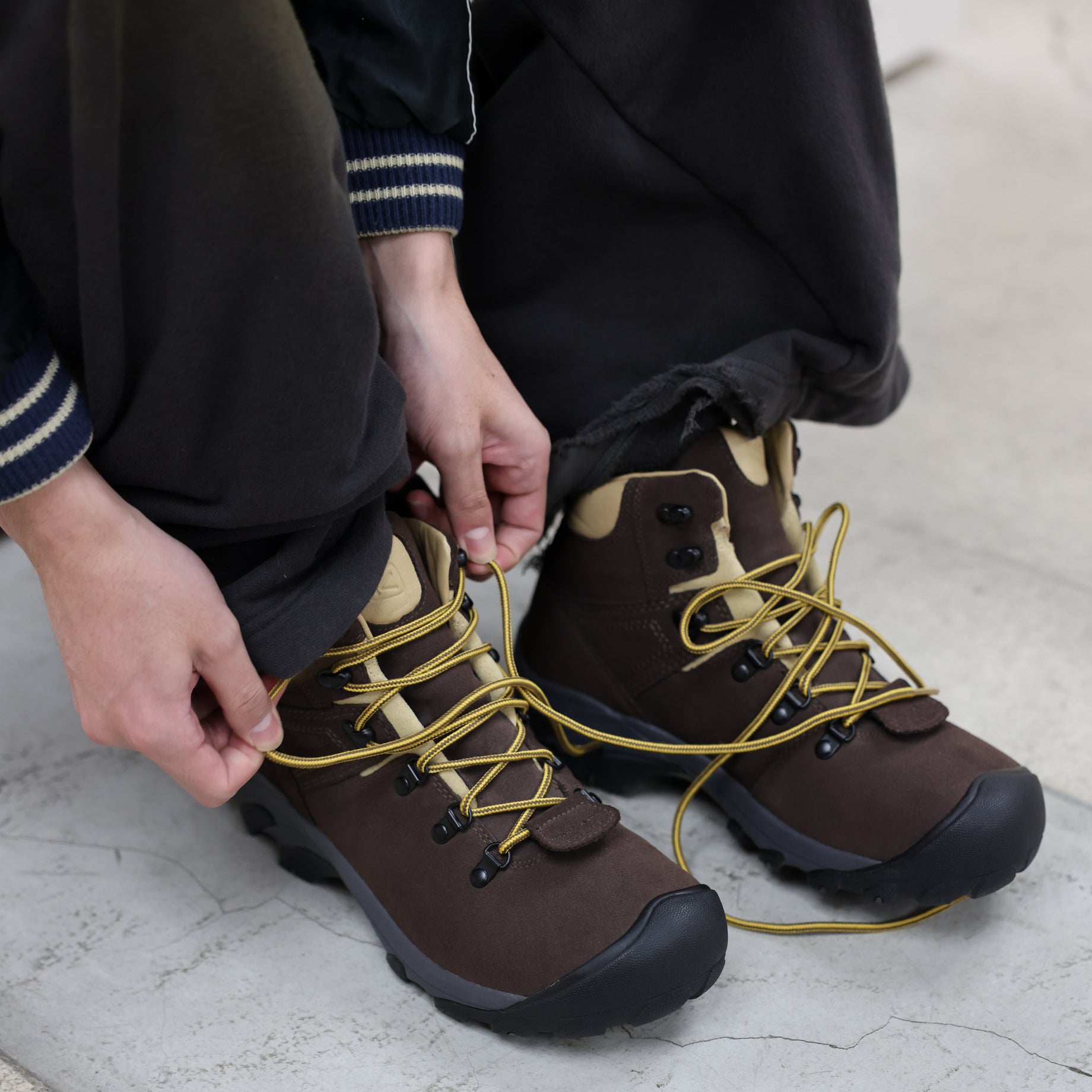 PYRENEERS（BROWN）