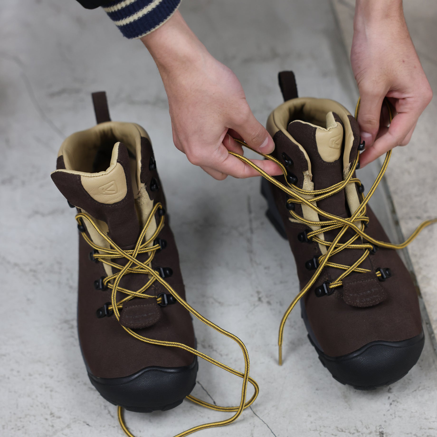 PYRENEERS（BROWN）