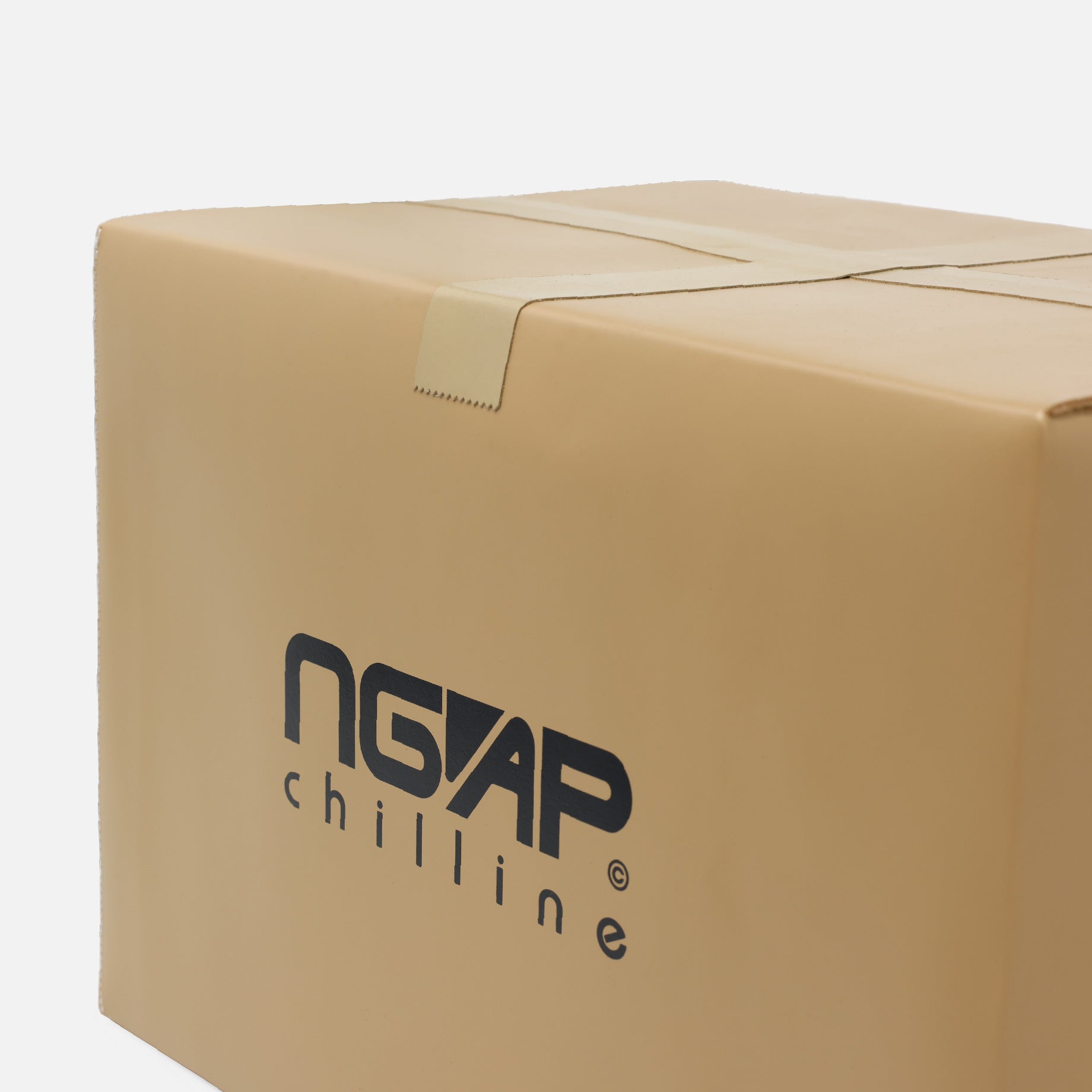 NGAP LEATHER CARDBOARD BOX CUSHION CHAIR（MEDIUM）